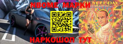гидра Будённовск