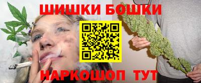гидра Будённовск