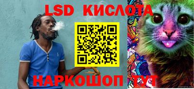 гидра Будённовск