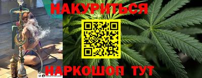 гидра Будённовск