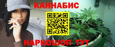 гидра Будённовск
