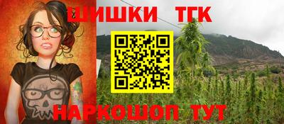 гидра Будённовск