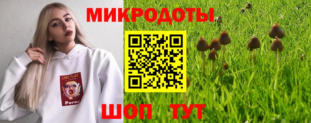 Галлюциногенные грибы прущие грибы Симферополь